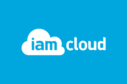IAM Cloud